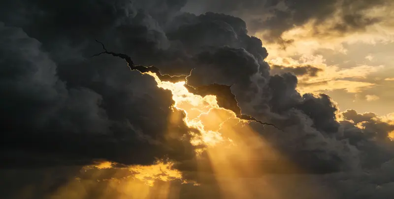 北京肺癌靶向120基因检测（组织）图片1